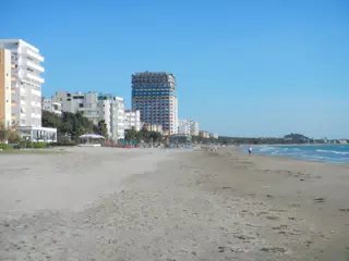 DSCN5879
