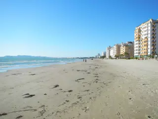 DSCN5881