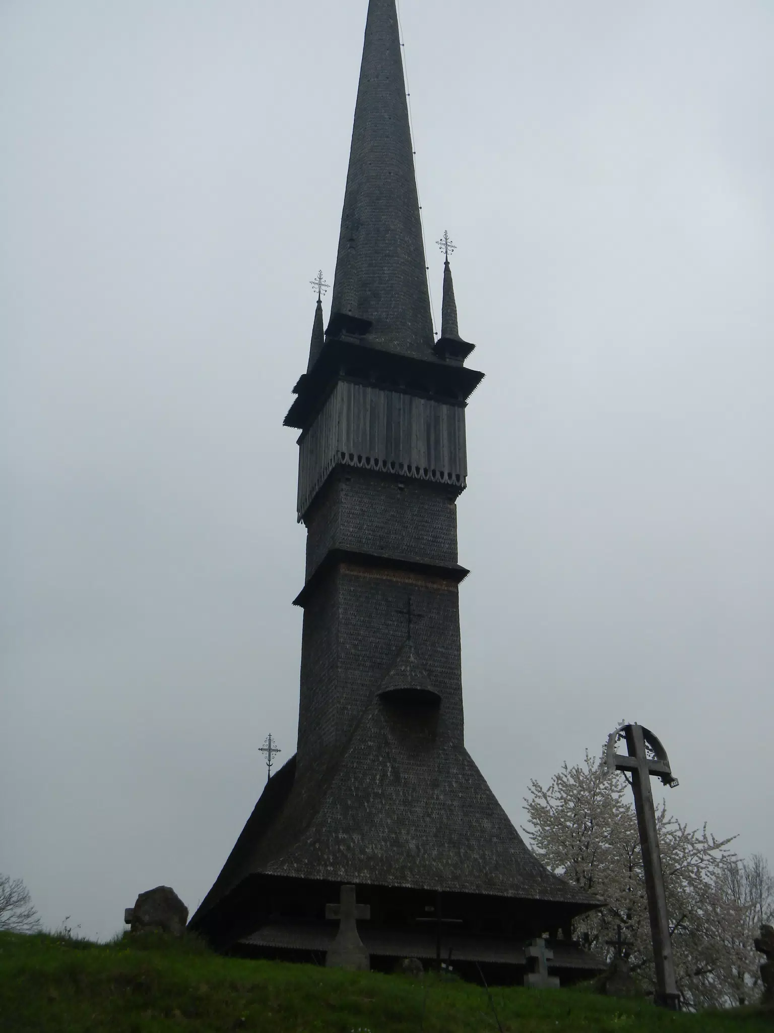 DSCN5672