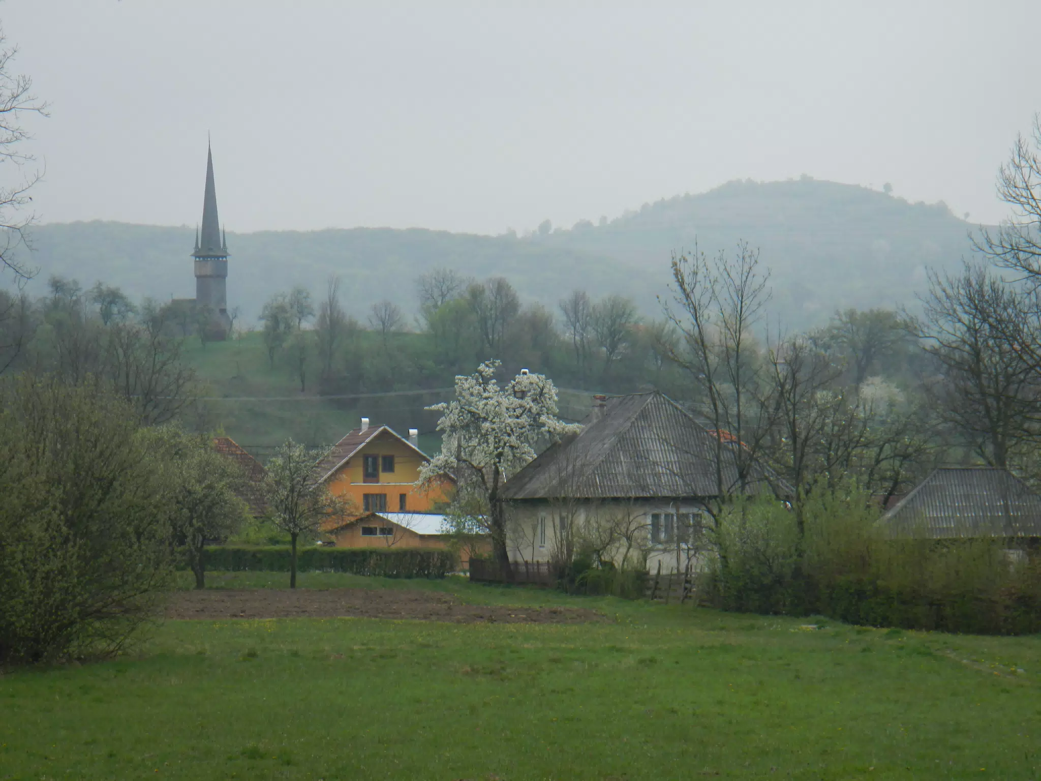 DSCN5677