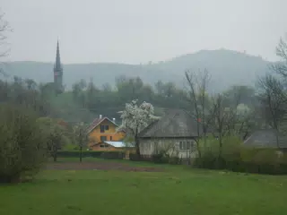 DSCN5677