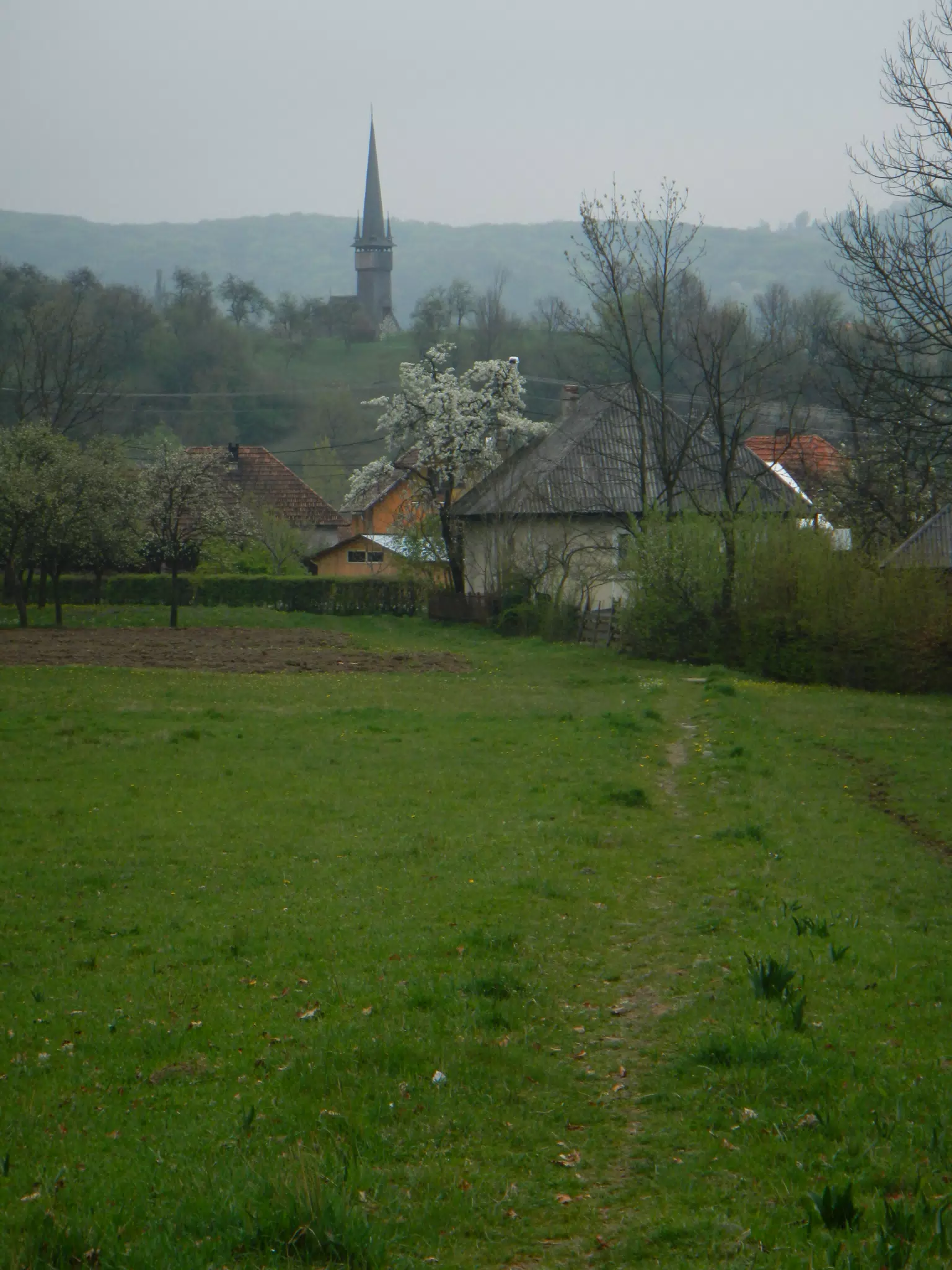 DSCN5678