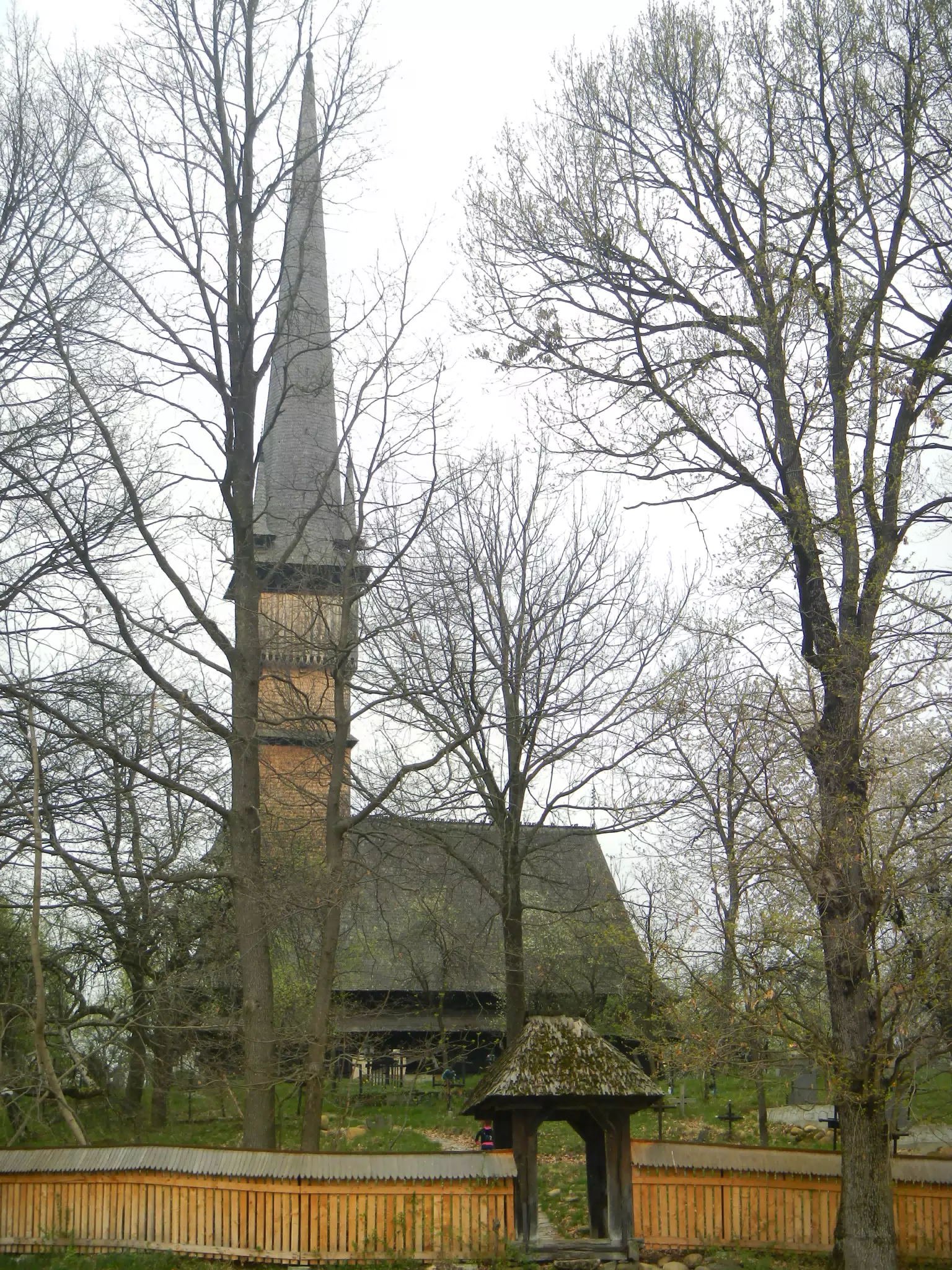 DSCN5679