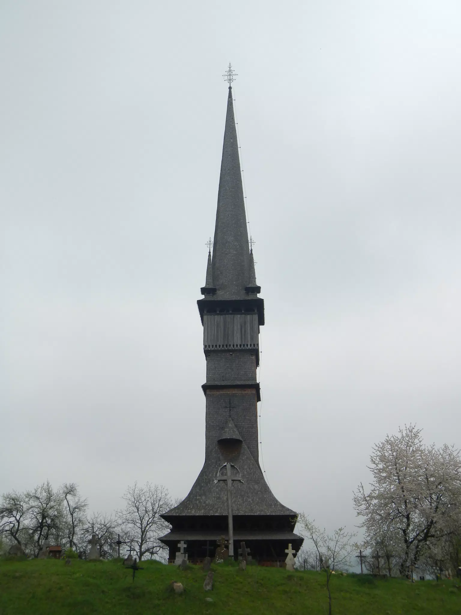 DSCN5692
