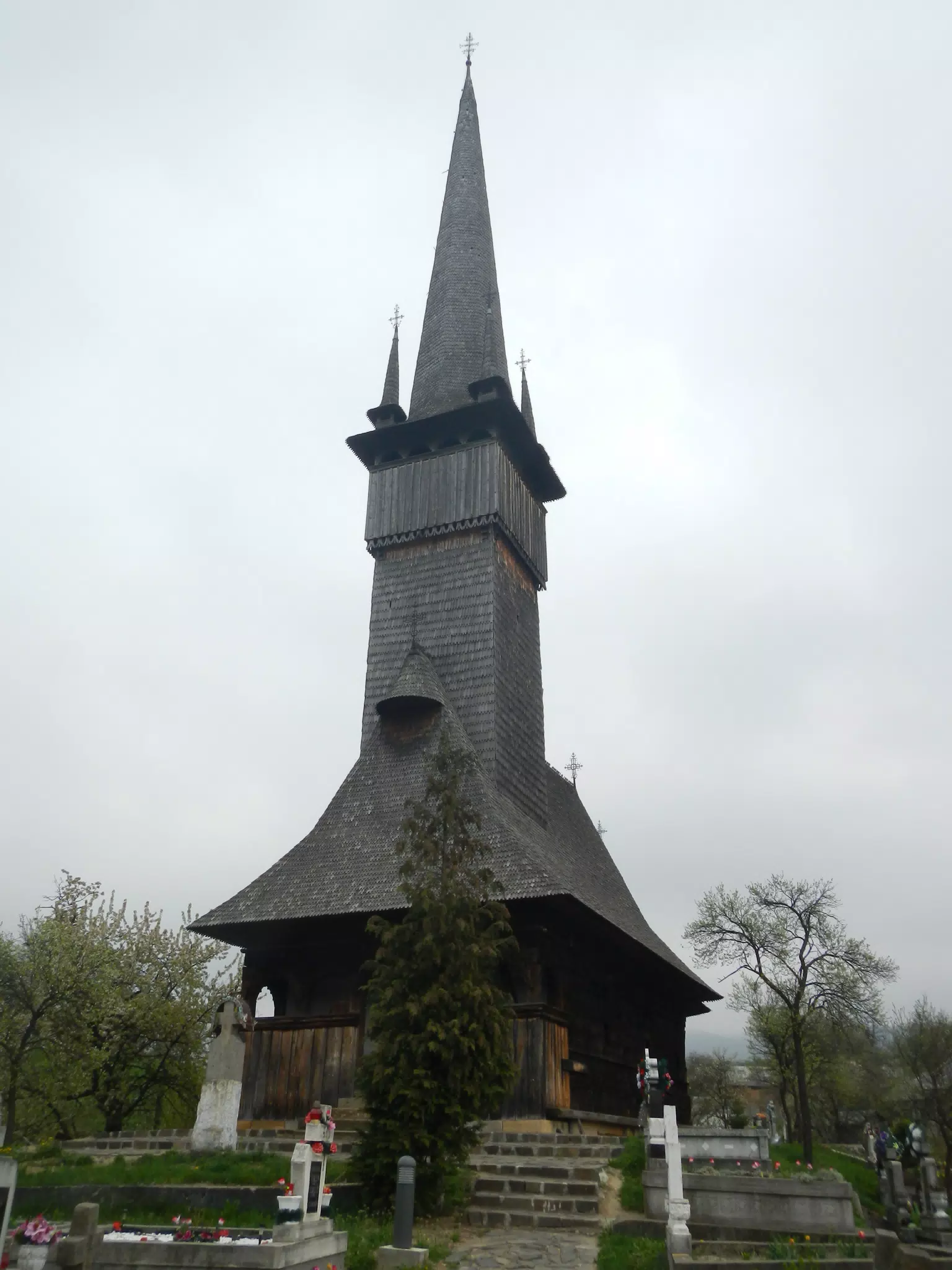DSCN5697