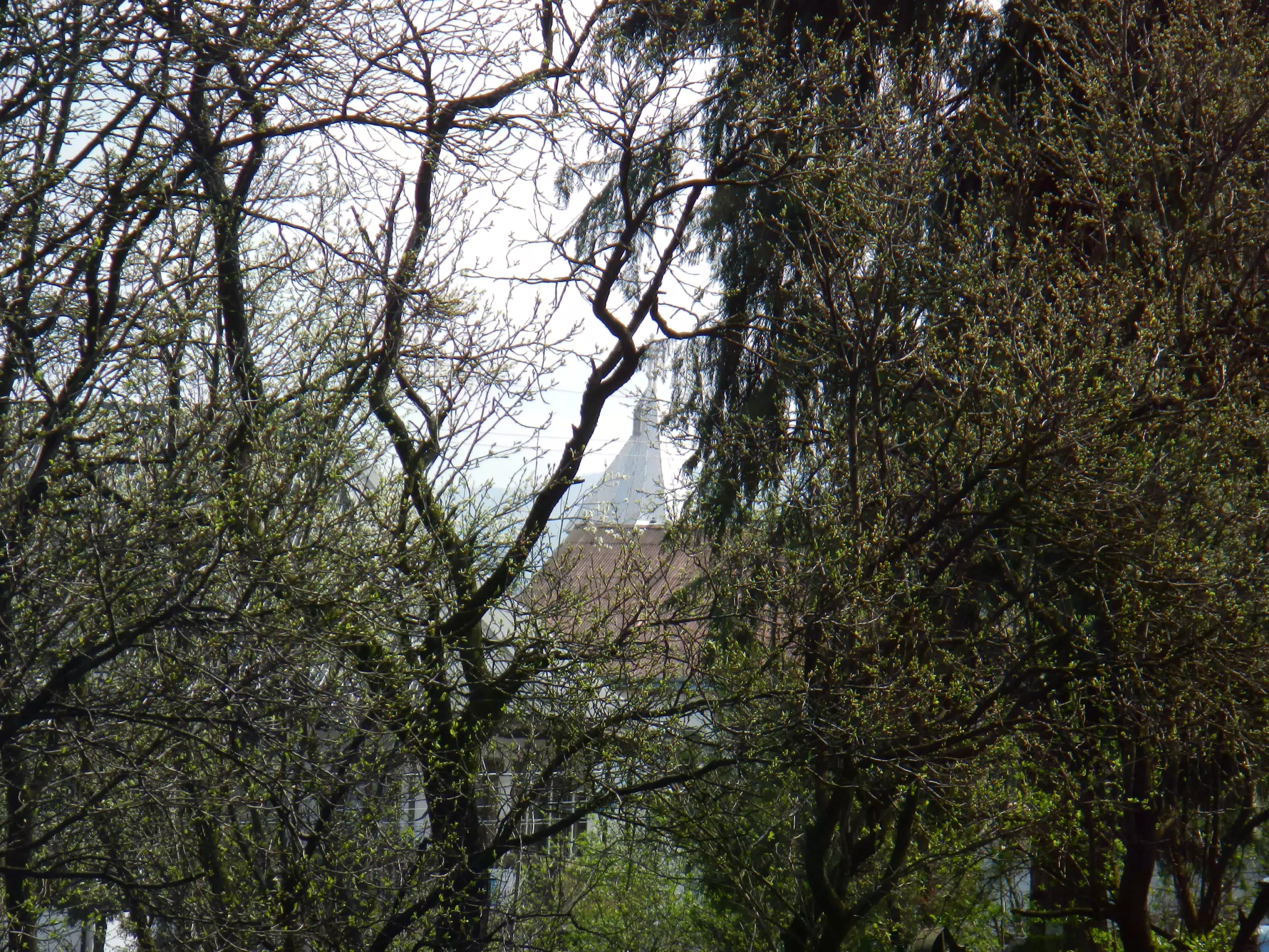 DSCN5711