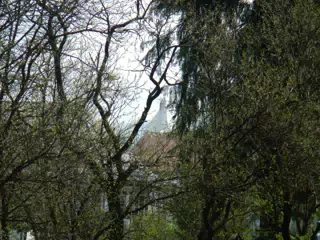 DSCN5711