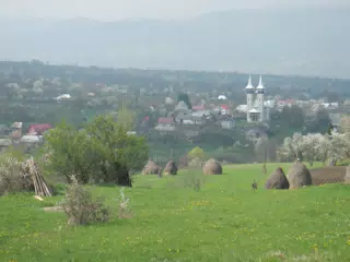 DSCN5720