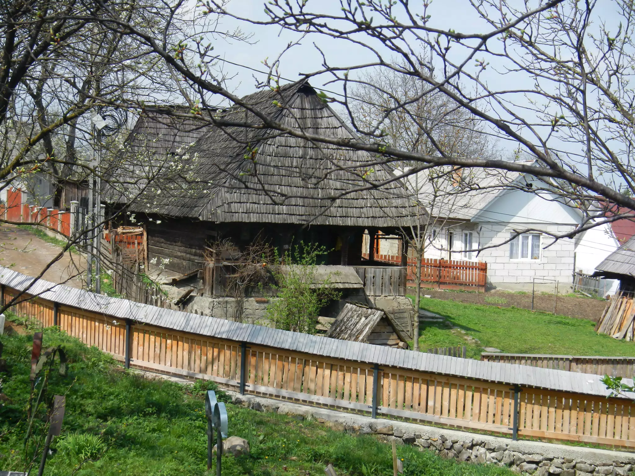 DSCN5713