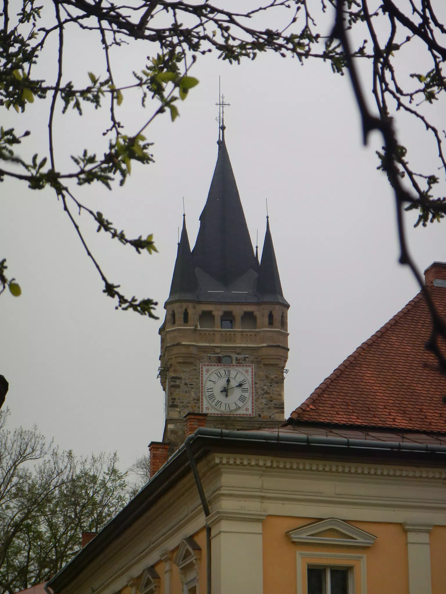 DSCN5733