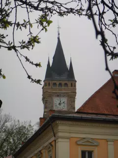 DSCN5733