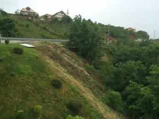 Untitled photo