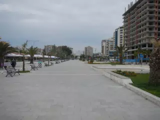 DSCN5893