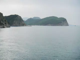 DSCN5849
