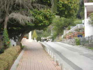 DSCN5853
