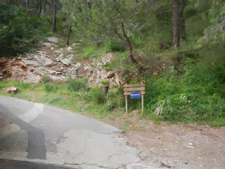 DSCN5854