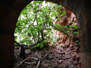 DSCN5865