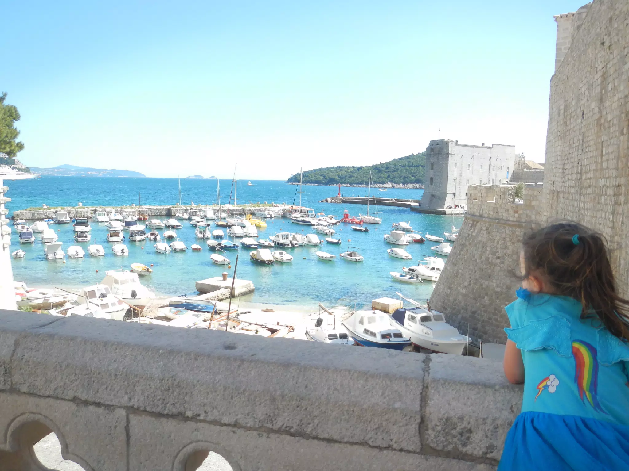 DSCN5809
