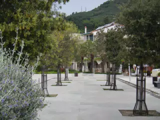 DSCN5829