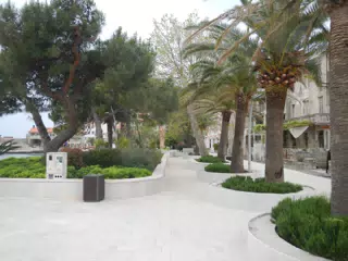 DSCN5831