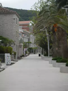 DSCN5840