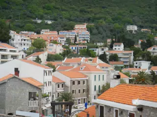 DSCN5846