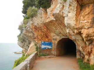 DSCN5864