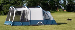 Oreo Skulking Away from the Tent