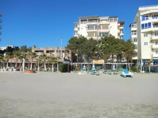 DSCN5882