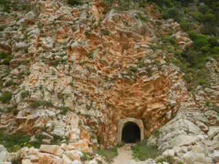 DSCN5872