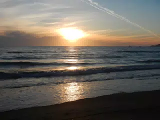 DSCN5888