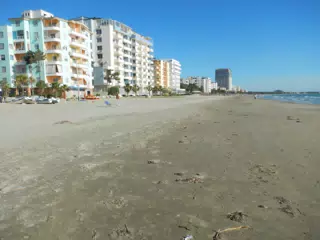 DSCN5884