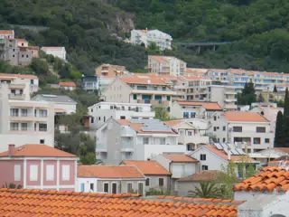 DSCN5847