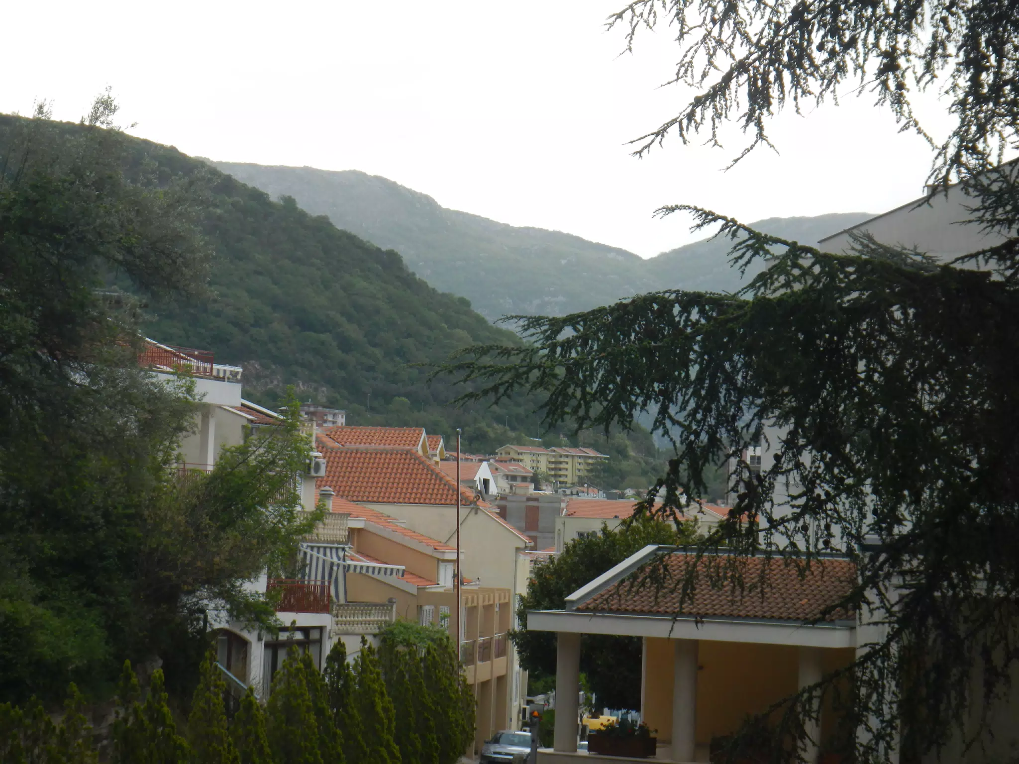 DSCN5856