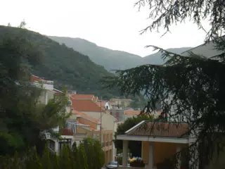 DSCN5856