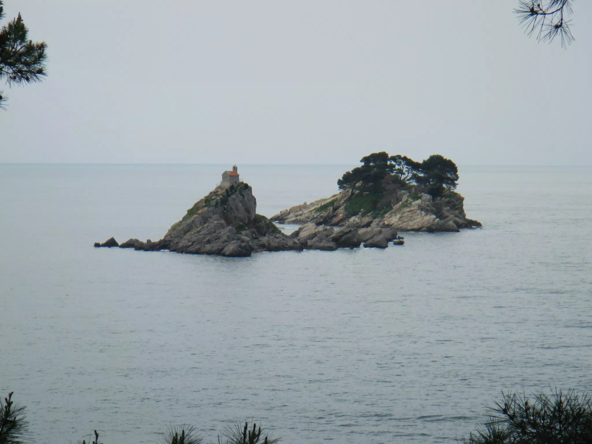 DSCN5859