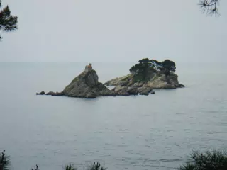 DSCN5859