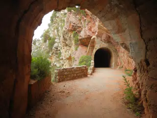 DSCN5867
