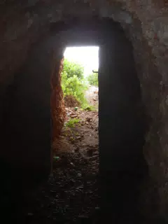 DSCN5866