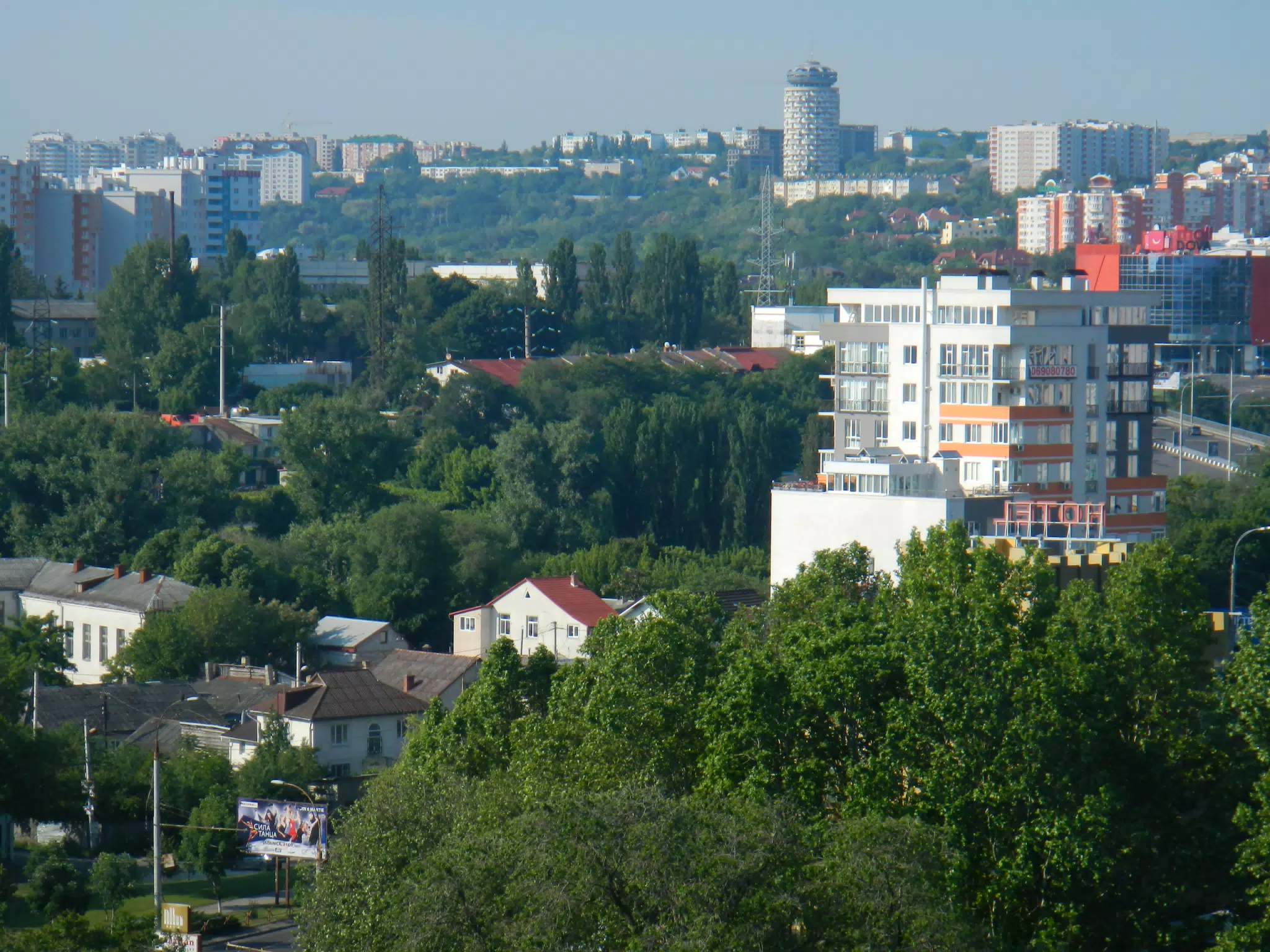 DSCN5919