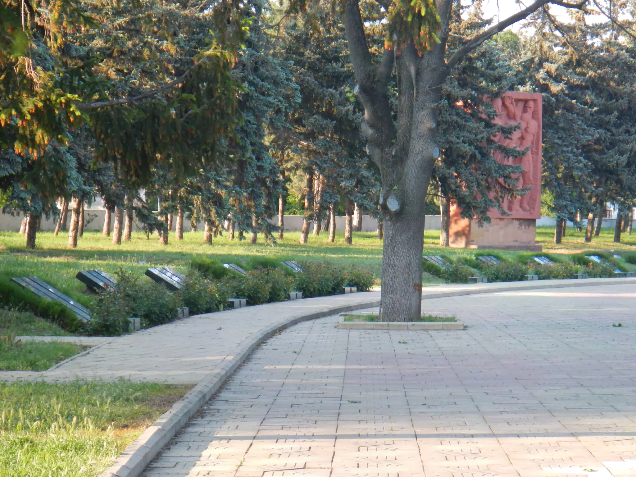 DSCN6001