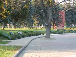 DSCN6001