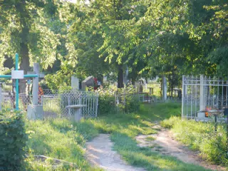 DSCN6003