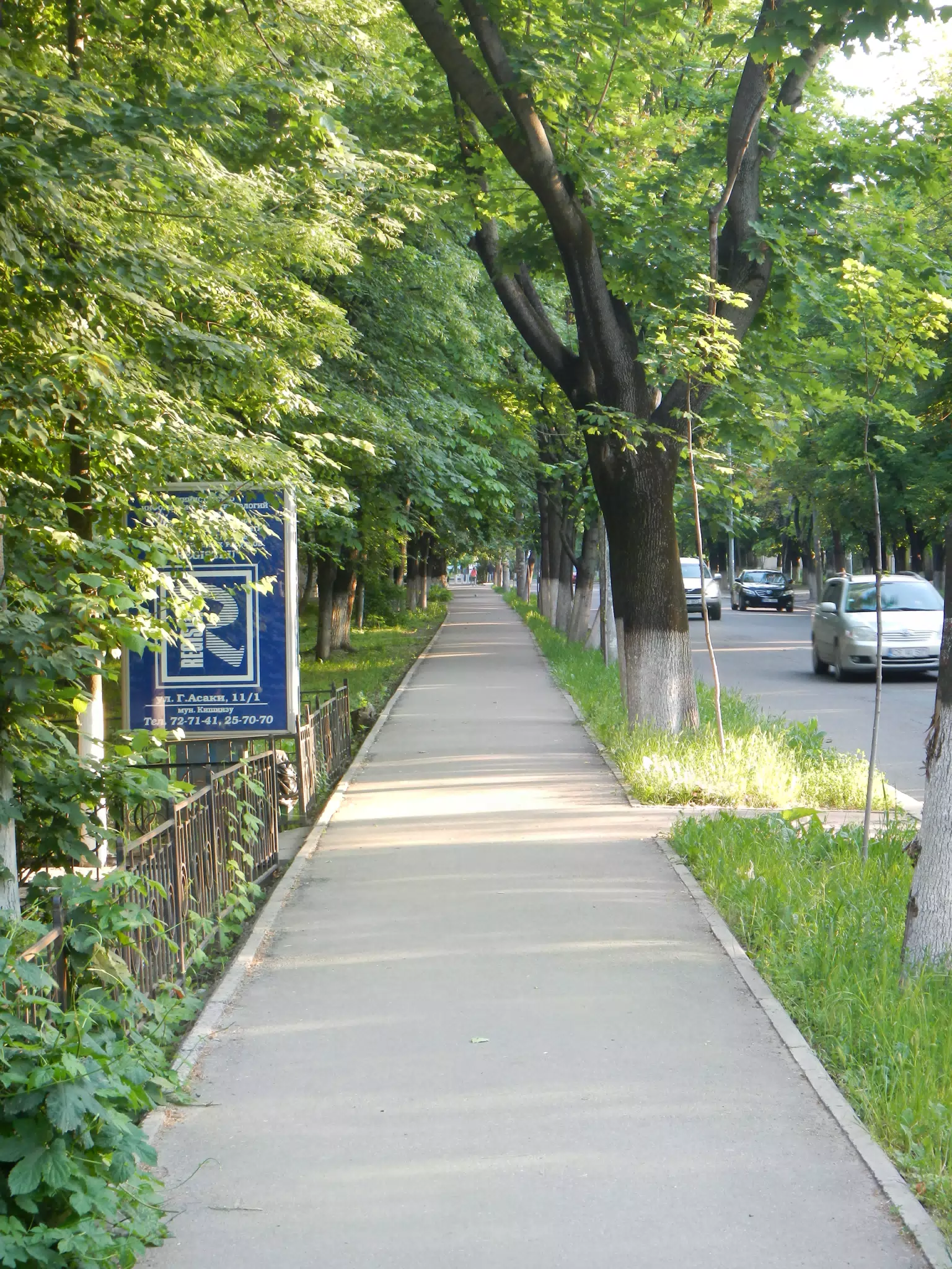 DSCN6007