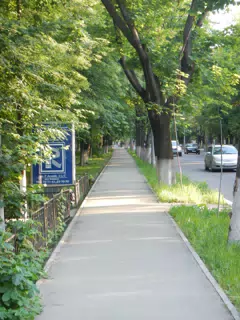 DSCN6007