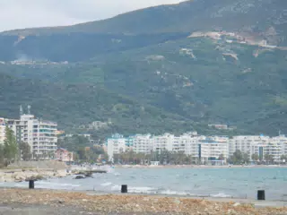 DSCN5901
