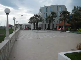 DSCN5905