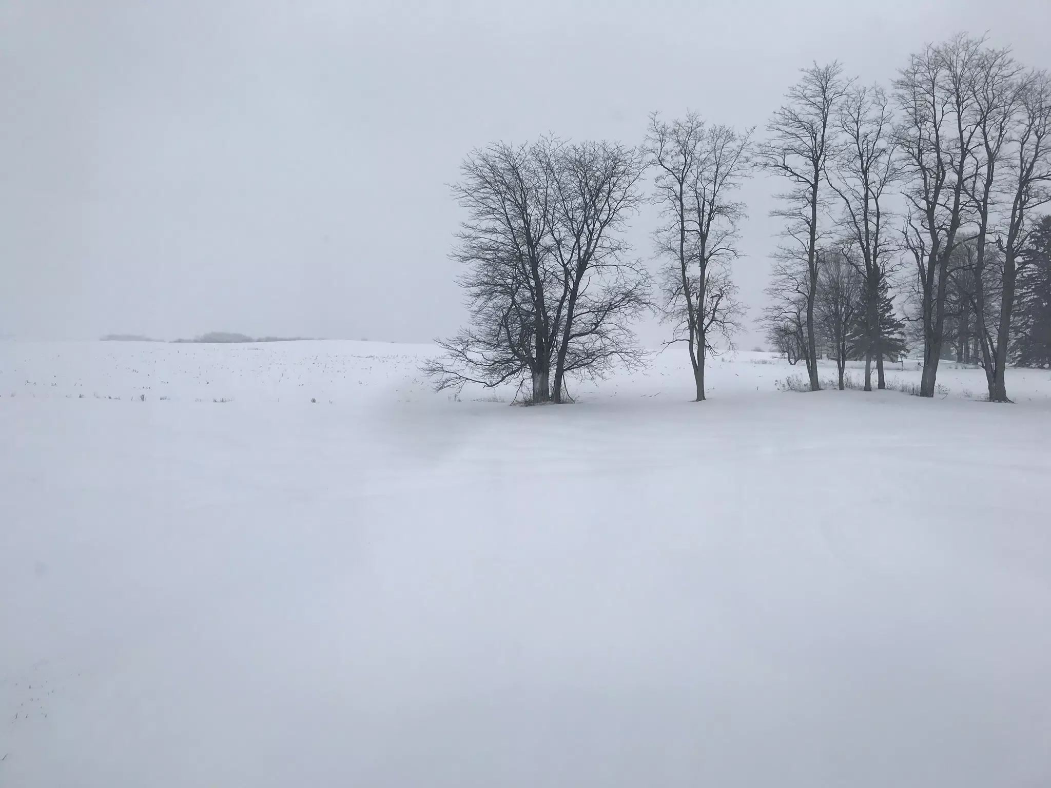 Winter in NY