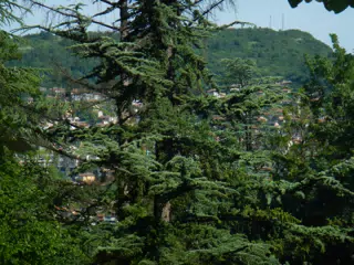 DSCN6093