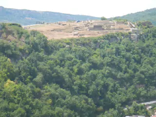 DSCN6119